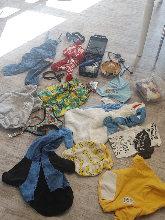 Other - HUGE FRENCHIE LOT L/XL French Bulldog Clothes & Accessories